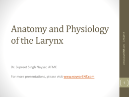 Anatomy and Physiology of the Larynx