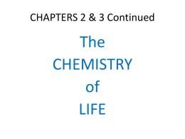 CHAPTERS 2 & 3 Continued