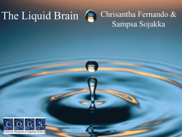 My Liquid Brain - University of Sussex