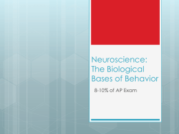 Neuroscience: The Biological Bases of Behavior