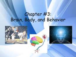 Chapter #3: Brain, Body, and Behavior