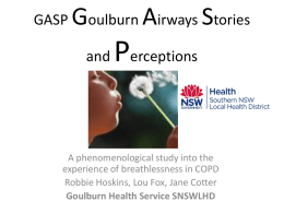 GASP Goulburn Airways and Perceptions