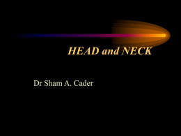 HEAD and NECK - Hope International