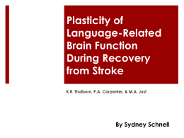 Plasticity of Language-Related Brain Function During
