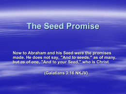 The Seed Promise - New Plymouth Church of Christ