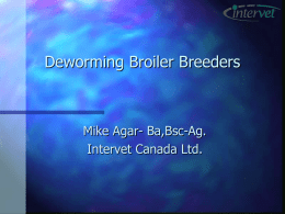 Deworming Broiler Breeders