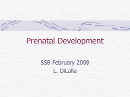 Prenatal Development - Southern Illinois University School