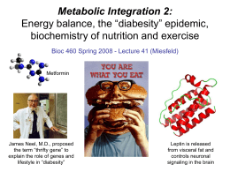 Lecture 33