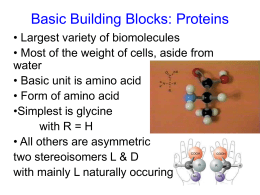 Basic Building Blocks: Proteins