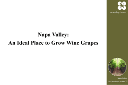 Napa Valley Seminar