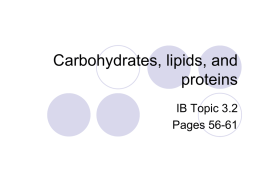 Carbohydrates , lipids, and proteins