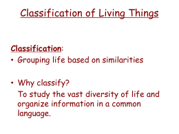 Classification - Lawrence USD 497