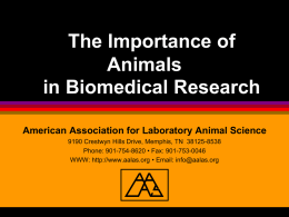 The Importance of Animals in Biomedical Research
