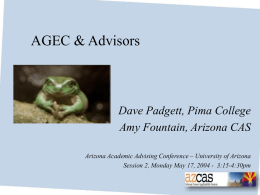 AGEC & Advisors