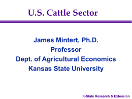 U.S. Cattle Sector