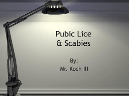Pubic Lice & Scabies