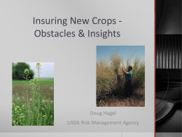 Insuring Energy Crops