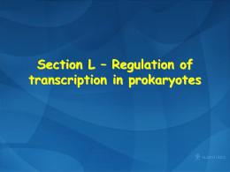 Section D - Prokaryotic and Eukaryotic Chromosome Structure