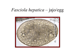 Parasites and fungi in the ontocenoses of the digestive