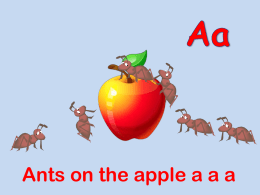 Slide 1