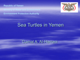 Sea turtles in Yemen seas, Threats and Conservation
