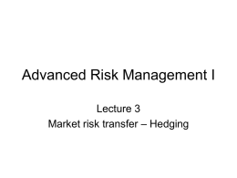 Advanced Methods of Risk Management I