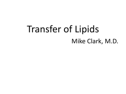 Serum Lipid Transport - William M. Clark, M.D