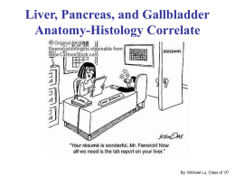 Liver, Pancreas, and Gallbladder Anatomy