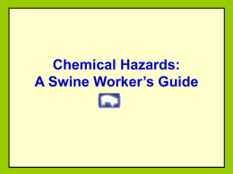 Chemical Hazards: A Swine Workers Guide