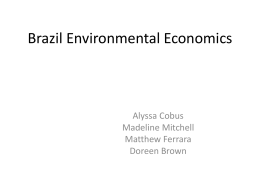 Brazil Environmental Economics