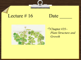 Lecture #16 Date - Corner Brook Regional High