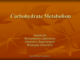 Ch 4: Cellular Metabolism