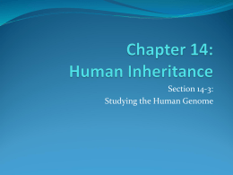 Chapter 14: Human Inheritance
