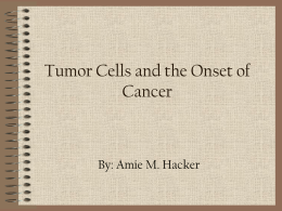 Tumor Cells and the Onset of Cancer