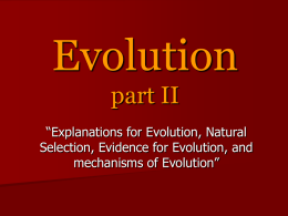 Evolution part II