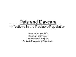 Pets and Daycare Infections in the Pediatric Population