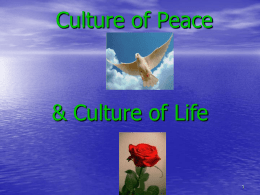Pro-Peace & Pro-Life: - Consistent Life