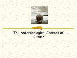 Chapter 14, The Nature of Culture