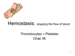 Thrombocytes/ Platelets