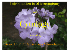 Introduction to Microanatomy and Cytology Laboratory