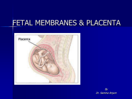 EXTRAEMBRYONIC MEMBRANES AND PLACENTATION