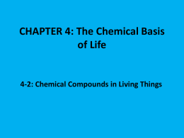 CHAPTER 4: The Chemical Basis of Life