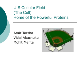 U.S Cellular Field (The Cell) Home of the Powerful Proteins