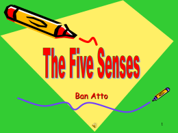 The Five Senses - Miss Atto's Kindergarten Classroom
