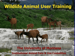Occupational Health for Wildlife Handlers