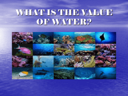 HOW IS WATER ESSENTIAL TO LIFE?