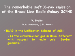 3C445: Soft X-ray emission lines in a Broad Line Radio Galaxy