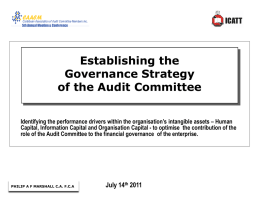 Establishing the Governance Strategy of the Audit Committee