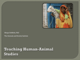 Teaching Human-Animal Studies