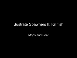 Sustrate Spawners II: Killifish